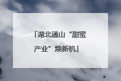 湖北通山“甜蜜产业”焕新机
