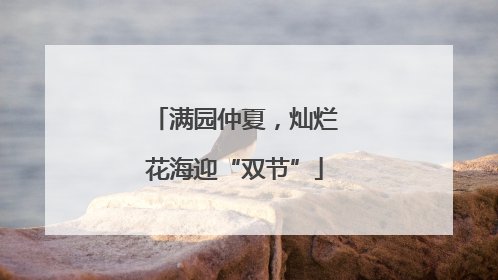 满园仲夏，灿烂花海迎“双节”