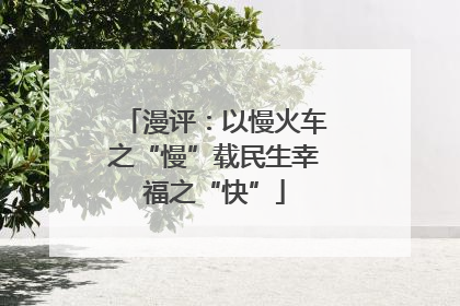 漫评：以慢火车之“慢”载民生幸福之“快”