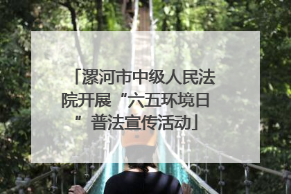 漯河市中级人民法院开展“六五环境日”普法宣传活动
