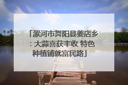 漯河市舞阳县姜店乡：大蒜喜获丰收 特色种植铺就富民路