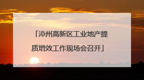 漳州高新区工业地产提质增效工作现场会召开