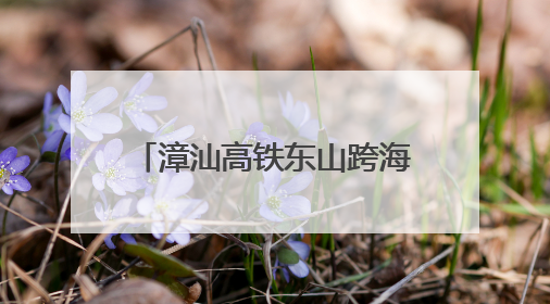 漳汕高铁东山跨海特大桥栈桥合龙