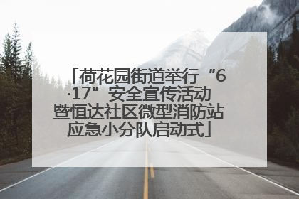 荷花园街道举行“6·17”安全宣传活动暨恒达社区微型消防站应急小分队启动式