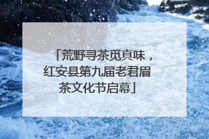 荒野寻茶觅真味，红安县第九届老君眉茶文化节启幕