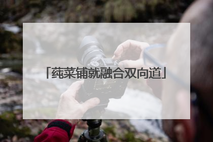 莼菜铺就融合双向道