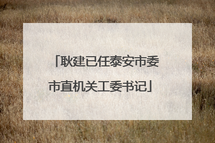 耿建已任泰安市委市直机关工委书记