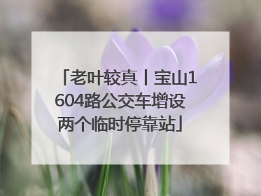老叶较真丨宝山1604路公交车增设两个临时停靠站