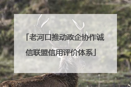 老河口推动政企协作诚信联盟信用评价体系
