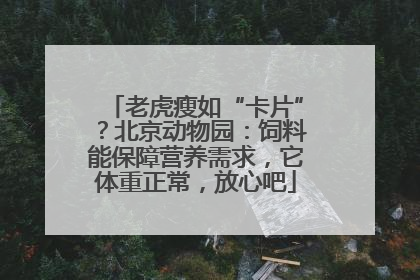 老虎瘦如“卡片”？北京动物园：饲料能保障营养需求，它体重正常，放心吧