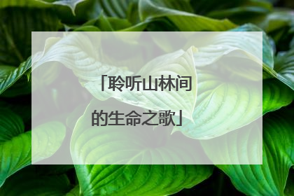 聆听山林间的生命之歌