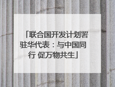 联合国开发计划署驻华代表：与中国同行 促万物共生