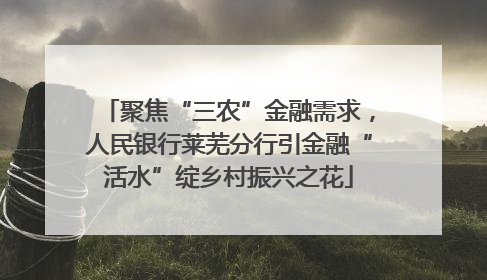 聚焦“三农”金融需求，人民银行莱芜分行引金融“活水”绽乡村振兴之花