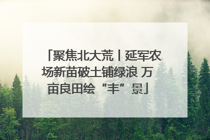 聚焦北大荒丨延军农场新苗破土铺绿浪 万亩良田绘“丰”景