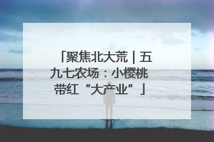 聚焦北大荒｜五九七农场：小樱桃带红“大产业”