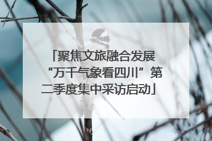 聚焦文旅融合发展 “万千气象看四川”第二季度集中采访启动