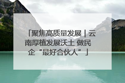 聚焦高质量发展｜云南厚植发展沃土 做民企“最好合伙人”