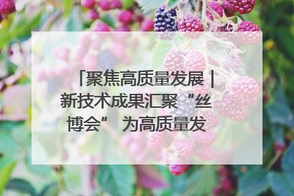 聚焦高质量发展｜新技术成果汇聚“丝博会” 为高质量发展注入新动能