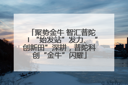 聚势金牛 智汇普陀〡“始发站”发力、“创新田”深耕，普陀科创“金牛”闪耀