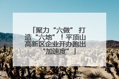 聚力“六做” 打造“六地”！平顶山高新区企业开办跑出“加速度”