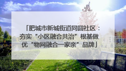 肥城市新城街道同圆社区：夯实“小区融合共治”根基做优“物网融合一家亲”品牌