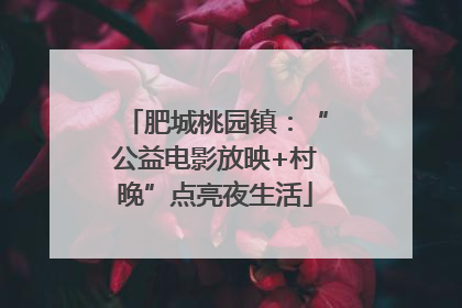 肥城桃园镇：“公益电影放映+村晚”点亮夜生活