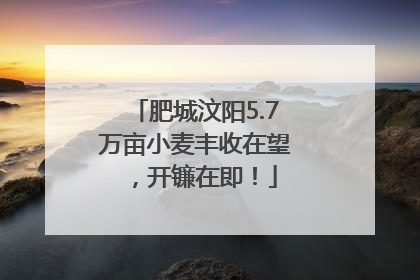 肥城汶阳5.7万亩小麦丰收在望，开镰在即！