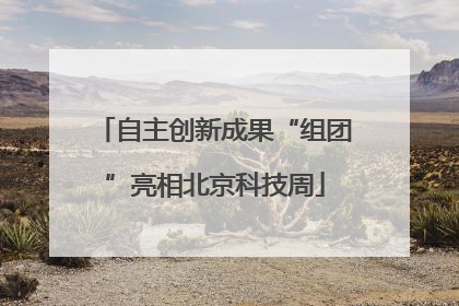 自主创新成果“组团”亮相北京科技周