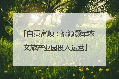 自贡富顺：福源灏军农文旅产业园投入运营