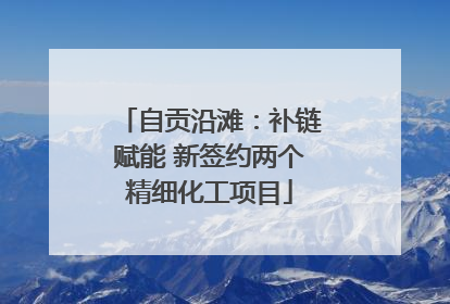 自贡沿滩：补链赋能 新签约两个精细化工项目