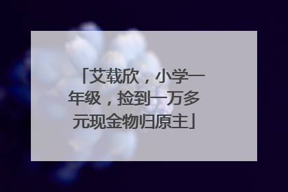艾载欣，小学一年级，捡到一万多元现金物归原主