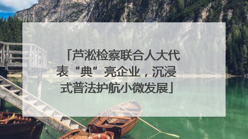 芦淞检察联合人大代表“典”亮企业，沉浸式普法护航小微发展