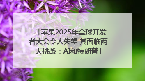 苹果2025年全球开发者大会令人失望 其面临两大挑战：AI和特朗普