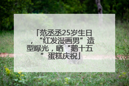 范丞丞25岁生日，“红发漫画男”造型曝光，晒“鹅十五”蛋糕庆祝