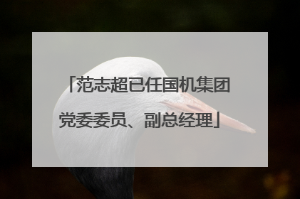 范志超已任国机集团党委委员、副总经理