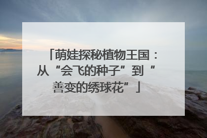 萌娃探秘植物王国：从“会飞的种子”到“善变的绣球花”