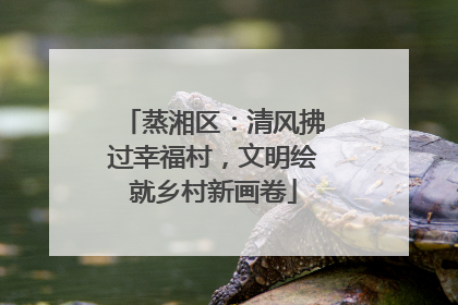 蒸湘区：清风拂过幸福村，文明绘就乡村新画卷