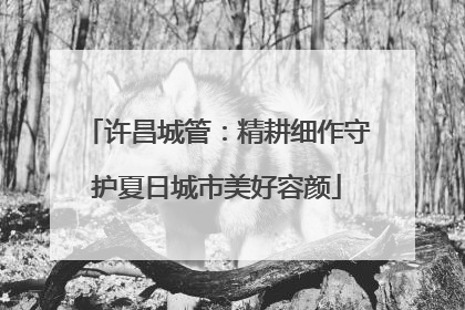 许昌城管：精耕细作守护夏日城市美好容颜