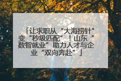 让求职从“大海捞针”变“秒级匹配”！山东“数智就业”助力人才与企业“双向奔赴”