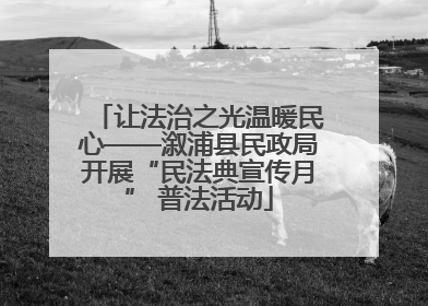 让法治之光温暖民心——溆浦县民政局开展“民法典宣传月” 普法活动