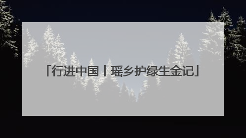 行进中国丨瑶乡护绿生金记