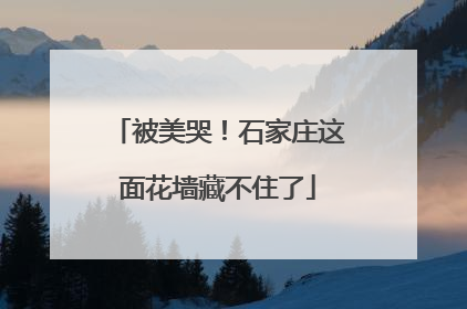 被美哭！石家庄这面花墙藏不住了
