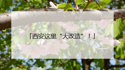西安这里“大改造”！