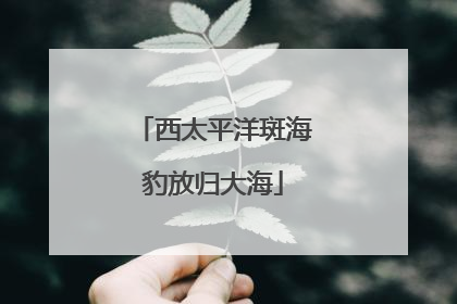 西太平洋斑海豹放归大海