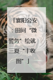 襄阳公安：田间“微警务”绘就三夏“丰收图”