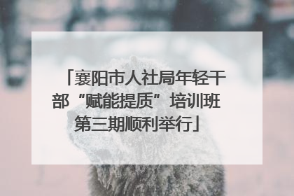 襄阳市人社局年轻干部“赋能提质”培训班第三期顺利举行