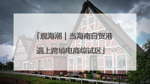 观海潮｜当海南自贸港遇上跨境电商综试区