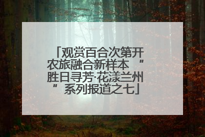 观赏百合次第开 农旅融合新样本 “胜日寻芳·花漾兰州”系列报道之七