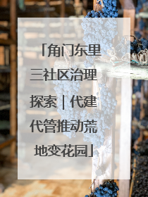 角门东里三社区治理探索｜代建代管推动荒地变花园