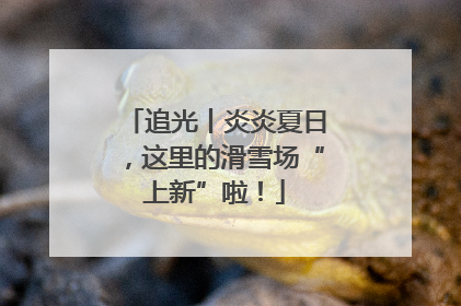 追光丨炎炎夏日，这里的滑雪场“上新”啦！